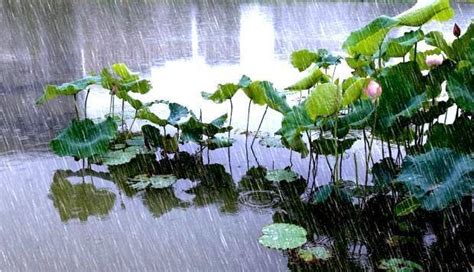 下雨前的景象|下雨之前的自然现象有哪些？下雨前的十个征兆